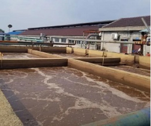 出水氨氮大于進(jìn)水氨氮，怎么回事？